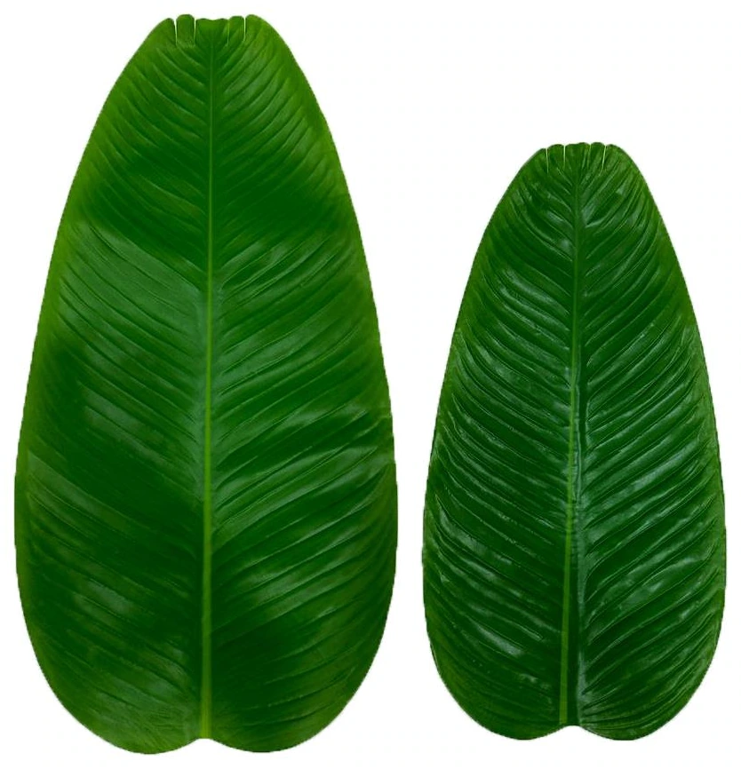 Banana Leaf 24cm